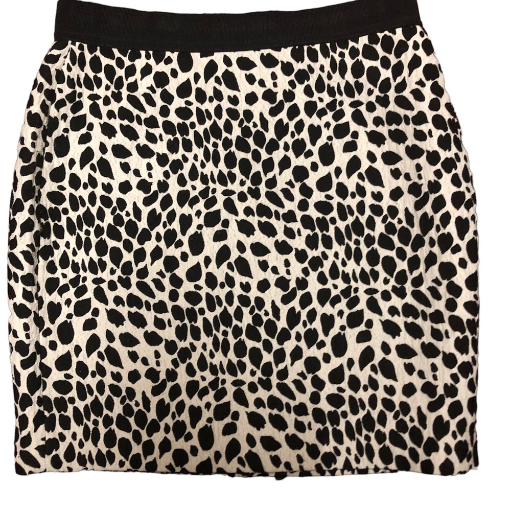 NWT Ann Taylor Petite a line skirt